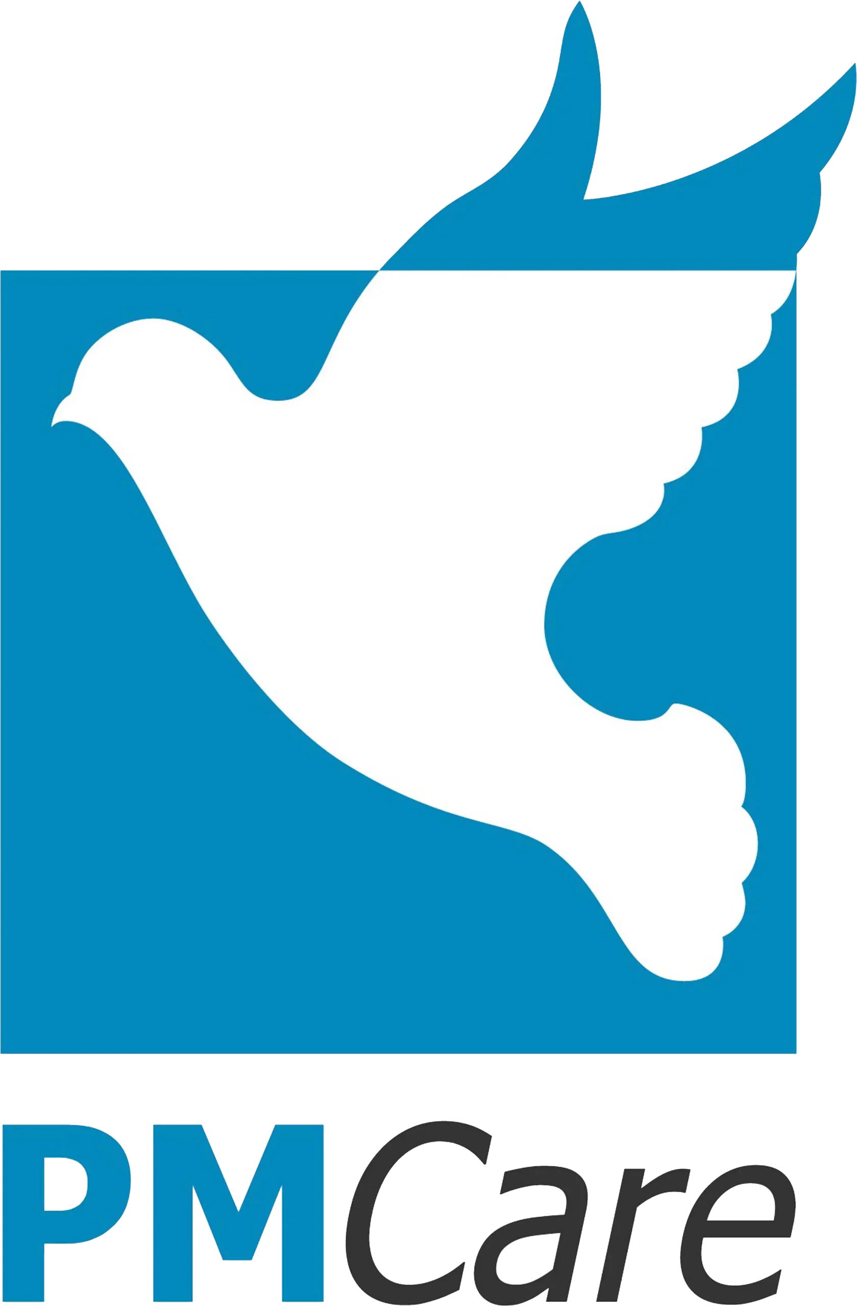 PM Care panel insurance logo